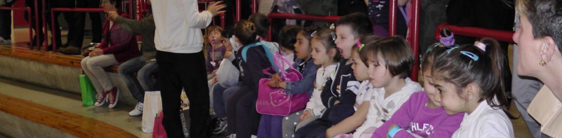 Gymgiocando 2014