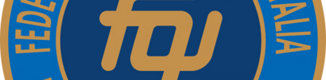 Logo FGI