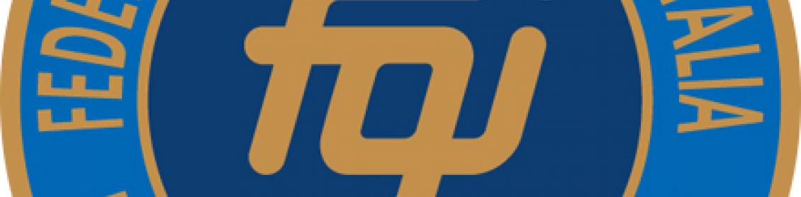 Logo FGI