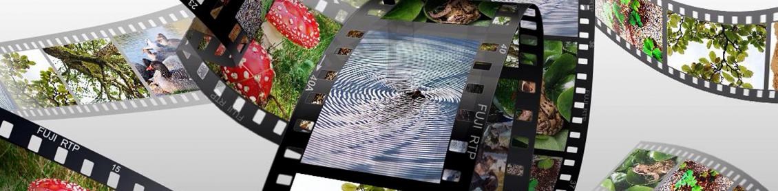Gallerie fotografiche