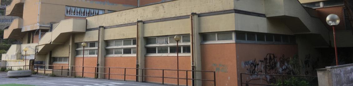 Palestra Montanella/Assarotti