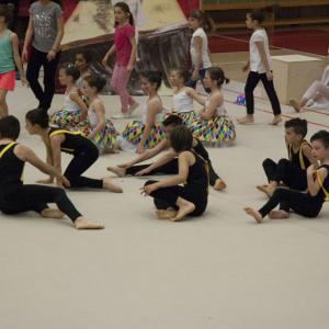GYMNAESTRADA 2015