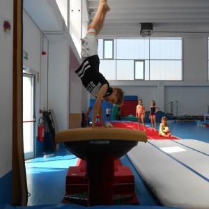 Summer GymCamp