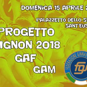 PROGETTO MIGNON 2018 PROGETTO MIGNON 2018
